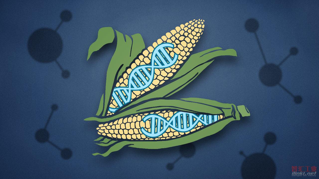 未来人类可以用CRISPR技术来做哪些事？