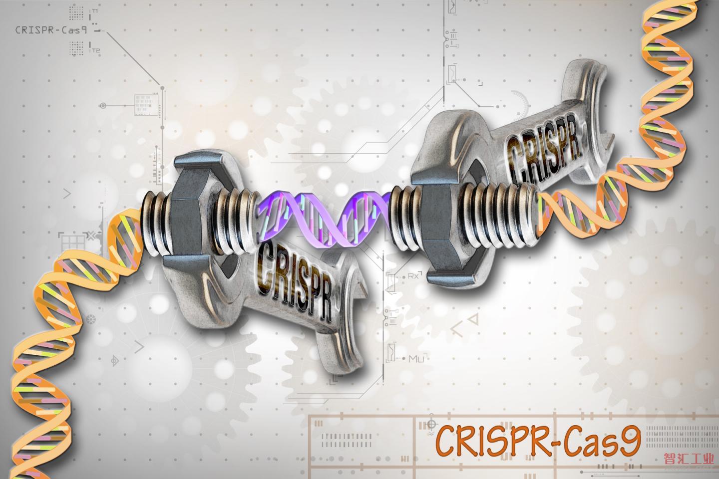 未来人类可以用CRISPR技术来做哪些事？