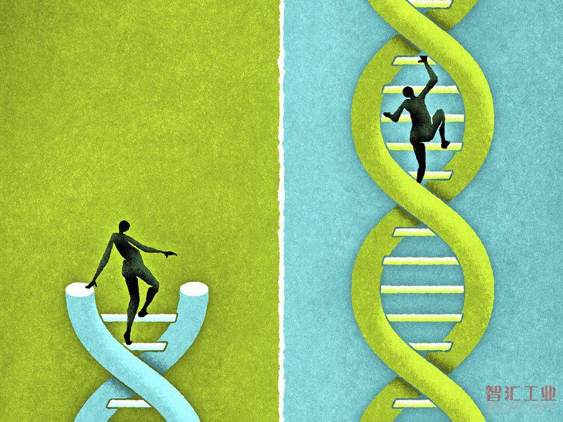 未来人类可以用CRISPR技术来做哪些事？