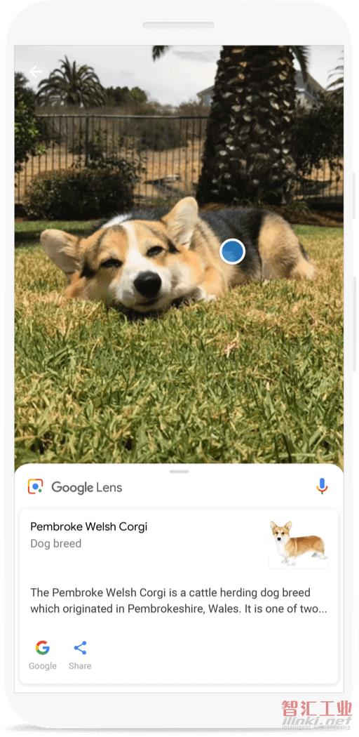 谷歌Lens增加新功能，购物餐饮翻译全覆盖！
