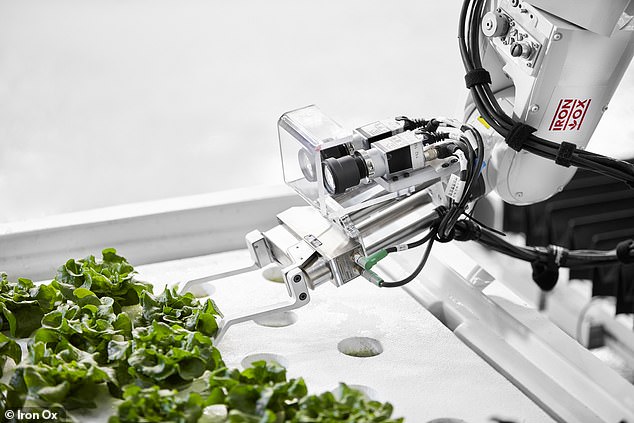 美农业公司开售机器人种植蔬菜